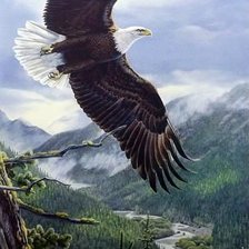 Схема вышивки «птицы»