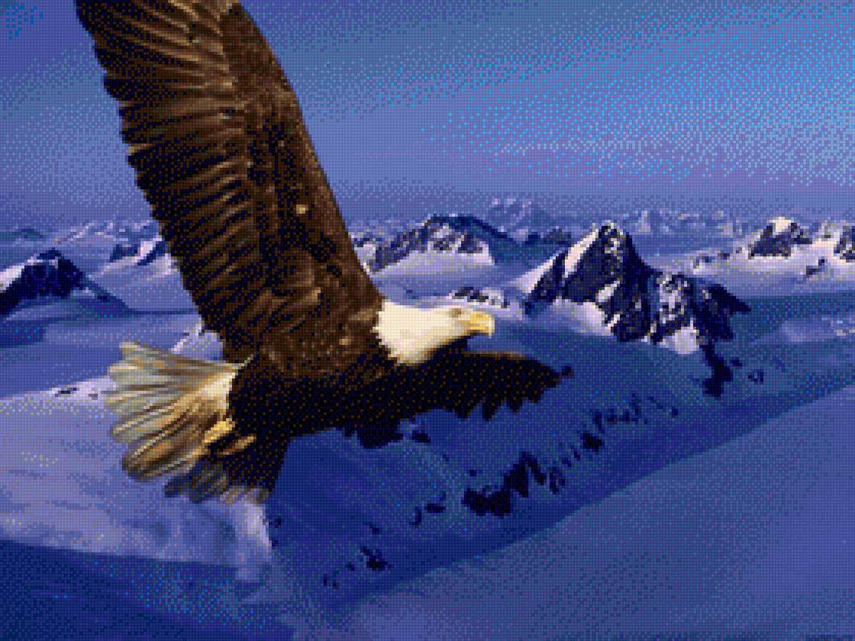 птицы - предпросмотр