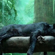 Схема вышивки «Пантера»