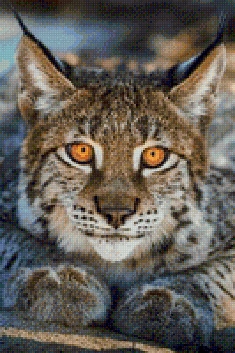 рысь - дикая кошка хищник - предпросмотр