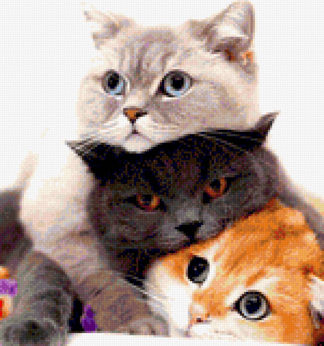 kotiki - предпросмотр