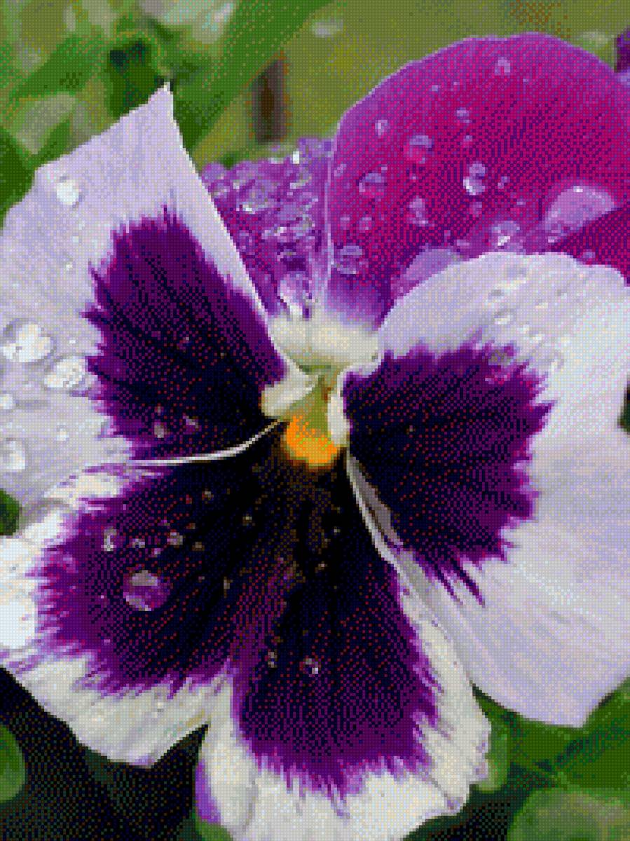 Bratek - предпросмотр