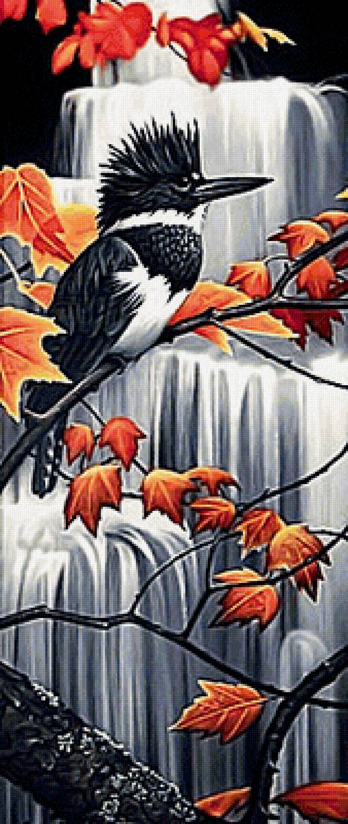 Серия "Птицы" - фауна, птицы - предпросмотр