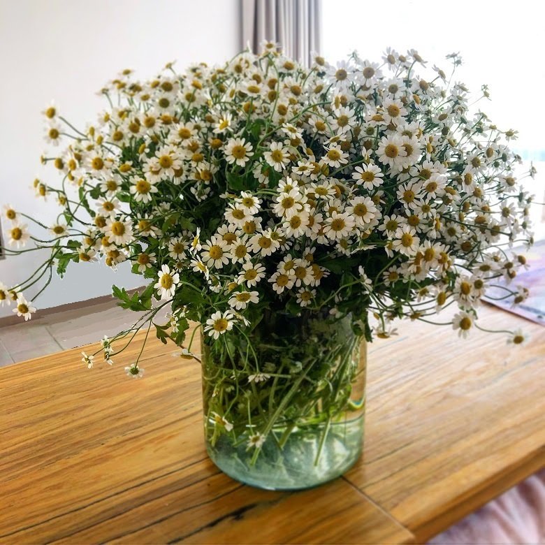 Букет ромашек - ромашки, цветы, ваза, натюрморт - оригинал