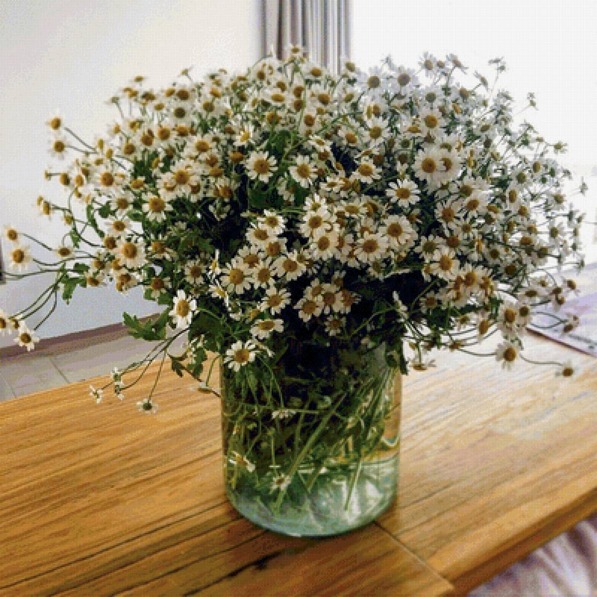 Букет ромашек - цветы, натюрморт, ваза, ромашки - предпросмотр