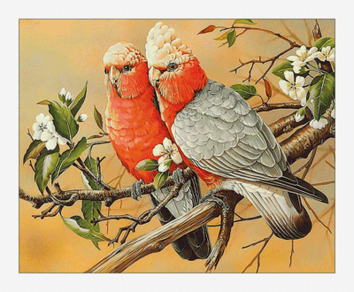 Попугайчики. - попугаи, живопись, птицы, цветы - предпросмотр