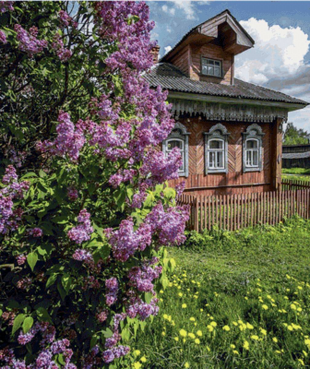 Сирень у дома - сирень, домик, деревня, пейзаж - предпросмотр