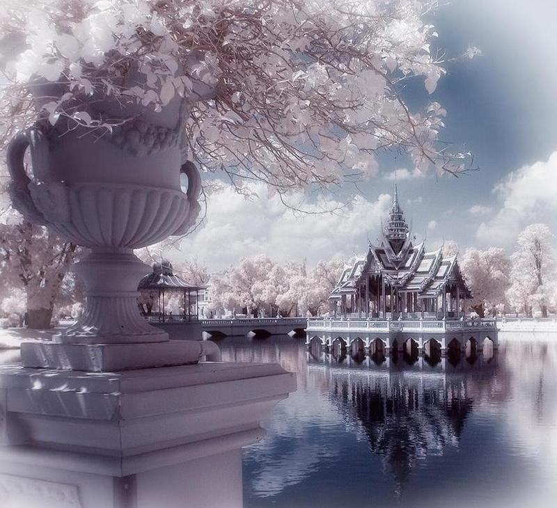 Беседка на пруду - пруд, восток, беседка, сакура - оригинал