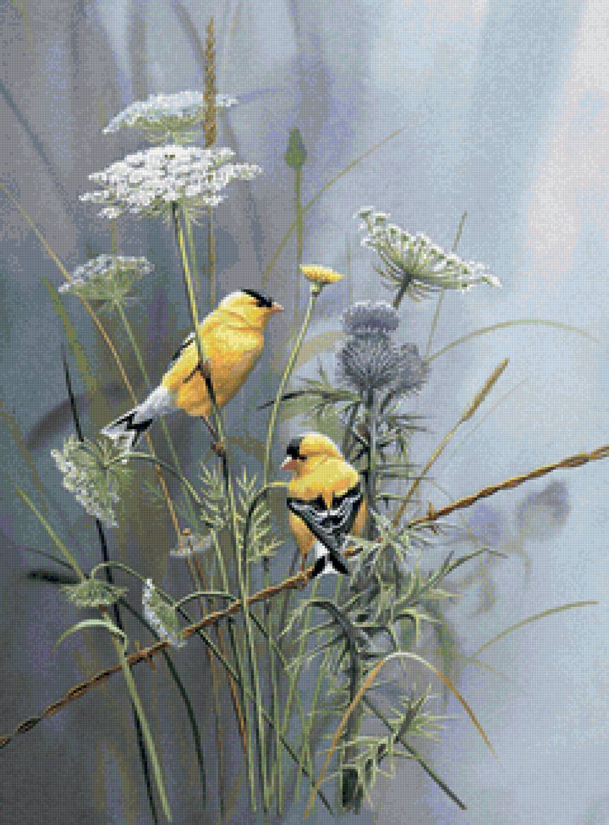 №2102946 - птицы, лето, растения - предпросмотр