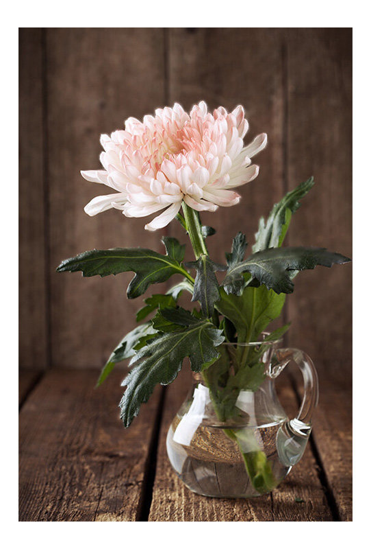 Натюрморт. - натюрморт, цветы, живопись. - оригинал