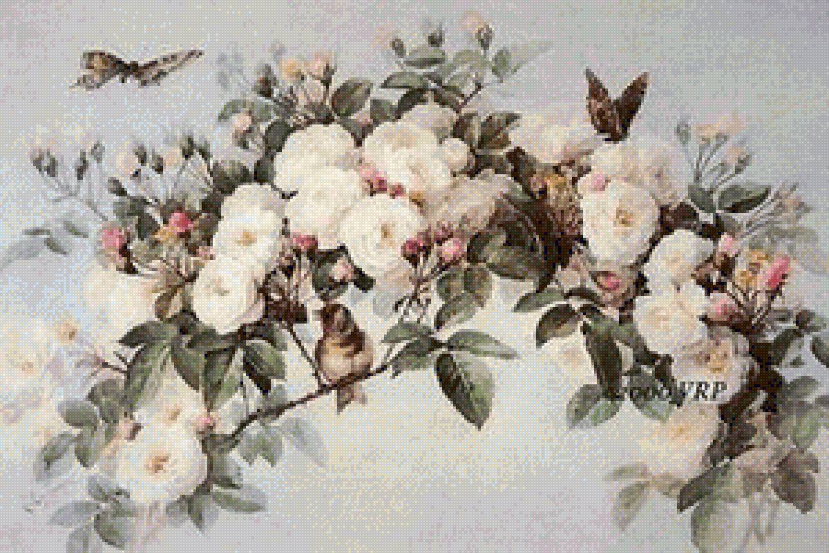 ВЕТКА РОЗЫ С БАБОЧКАМИ - цветы - предпросмотр