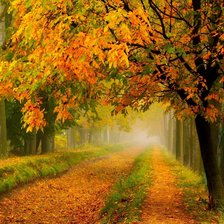 Схема вышивки «Золотая осень»