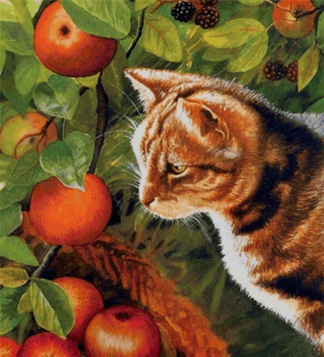 кошка в саду - сад, яблоки, кошка - предпросмотр