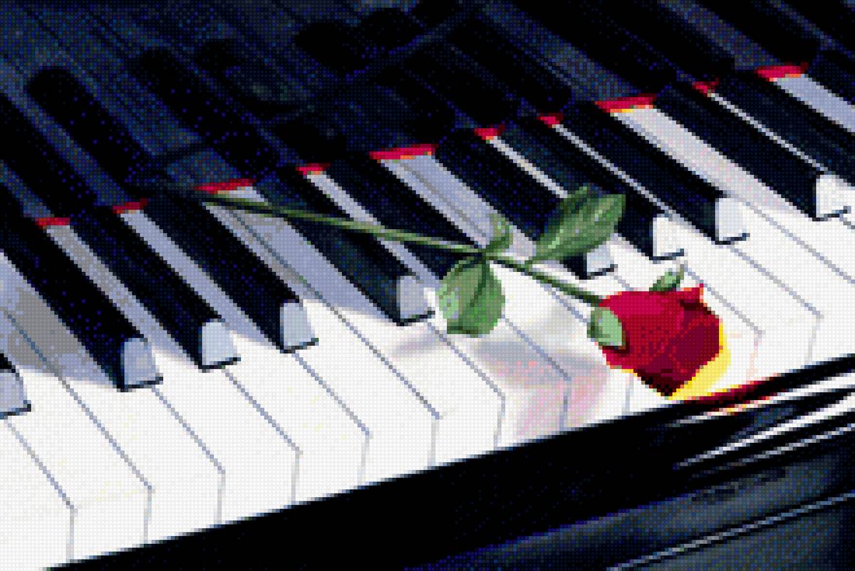 На клавишах тургенева. Клавиши и цветы. Красивые клавиши. Цветы на клавишах.
