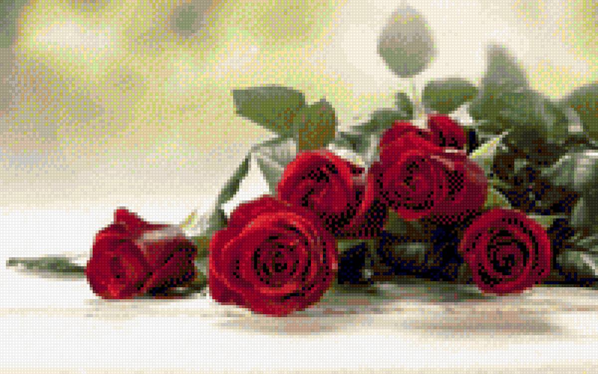 rose - предпросмотр