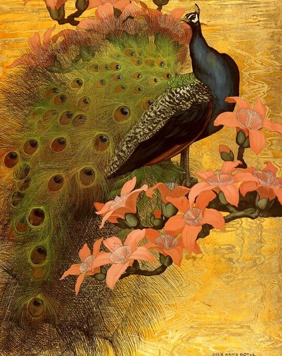 Японский павлин - птица, япония, павлин - оригинал