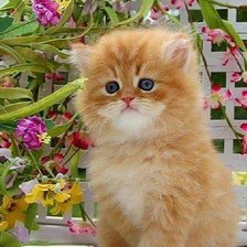 Схема вышивки «малыши»