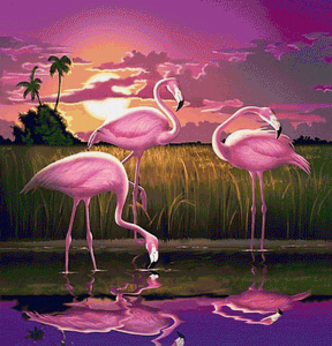 Фламинго - фламинго, птицы - предпросмотр