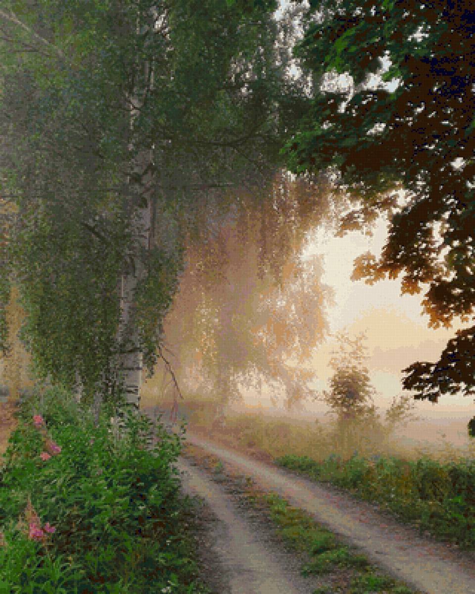 Берёзы в тумане - предпросмотр