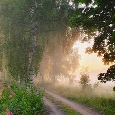 Схема вышивки «Берёзы в тумане»