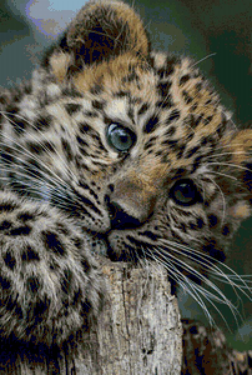 Детеныш - предпросмотр