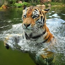 Схема вышивки «Водные процедуры»