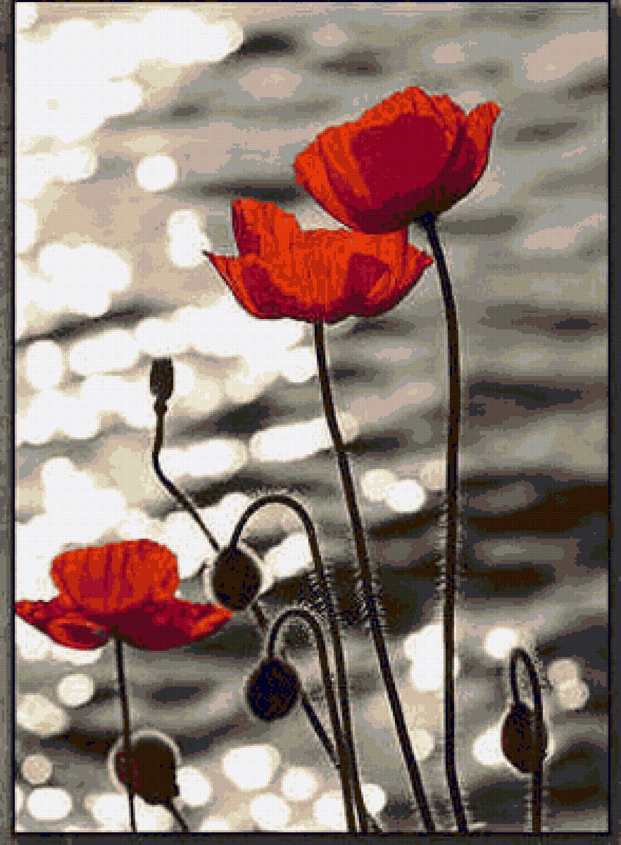 мак - крассный мак - предпросмотр