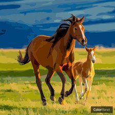 Схема вышивки «charo»