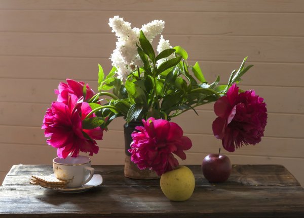 натюрморт - чашка, цветы, натюрморт, пионы, яблоки, ваза, стол, букет - оригинал