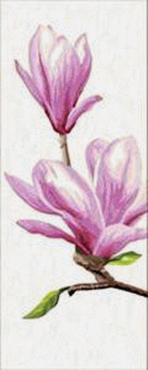 ЦВЕТУЩАЯ ВЕТКА МАГНОЛИИ-1 - парные картины, диптих, триптих - предпросмотр