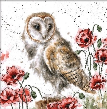 совушка - птицы сова маки - оригинал