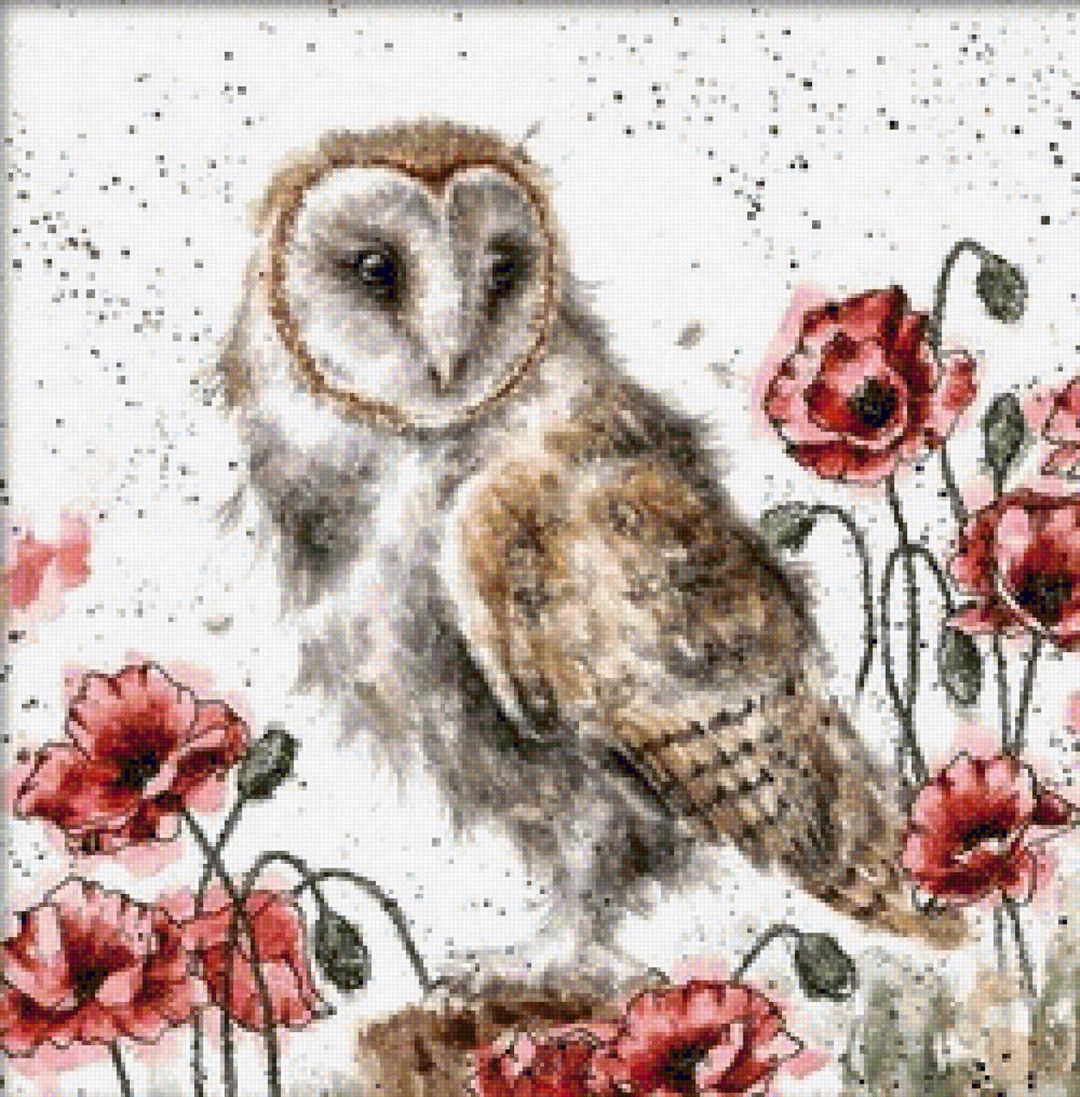 совушка - птицы сова маки - предпросмотр