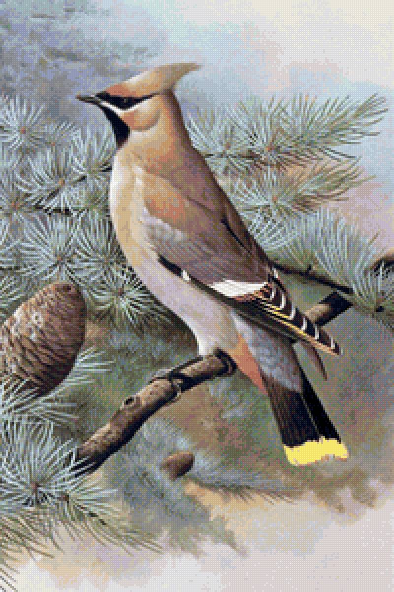 №2108633 - птицы - предпросмотр