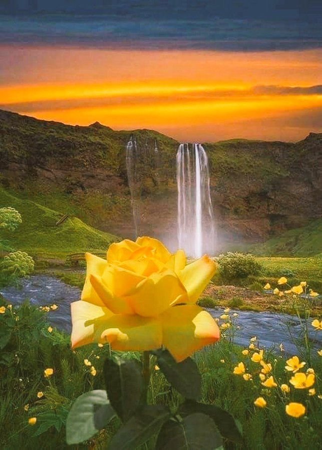 ūdenskritums ar rozi - dabasskati ūdenskritums saulriets kalni roze ziedi - оригинал