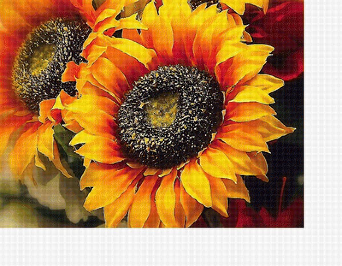 №2109107 - предпросмотр