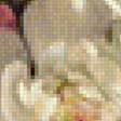Предпросмотр схемы вышивки «Пионы» (№2109182)
