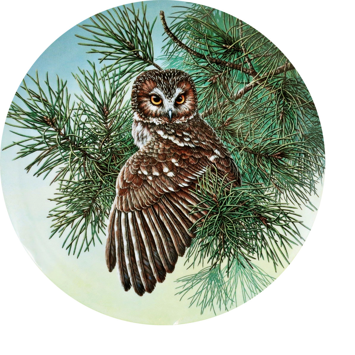 Серия "Птицы". Совы - совы, фауна, птицы - оригинал