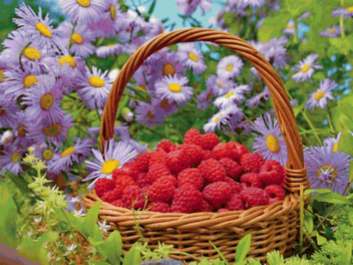 Корзина малины - цветы, малины, ягоды, лето - предпросмотр