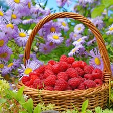 Схема вышивки «Корзина малины»