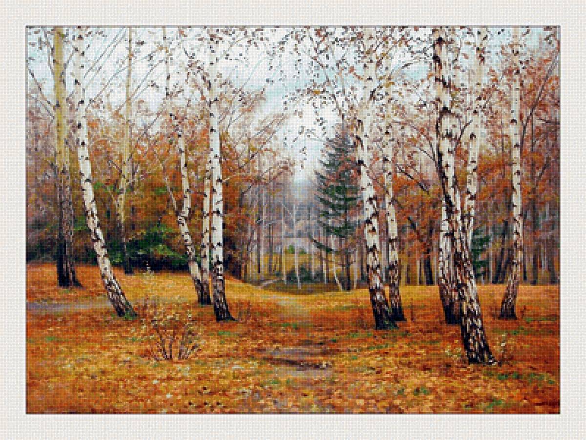 №2110063 - природа, березы, пейзаж, осень - предпросмотр