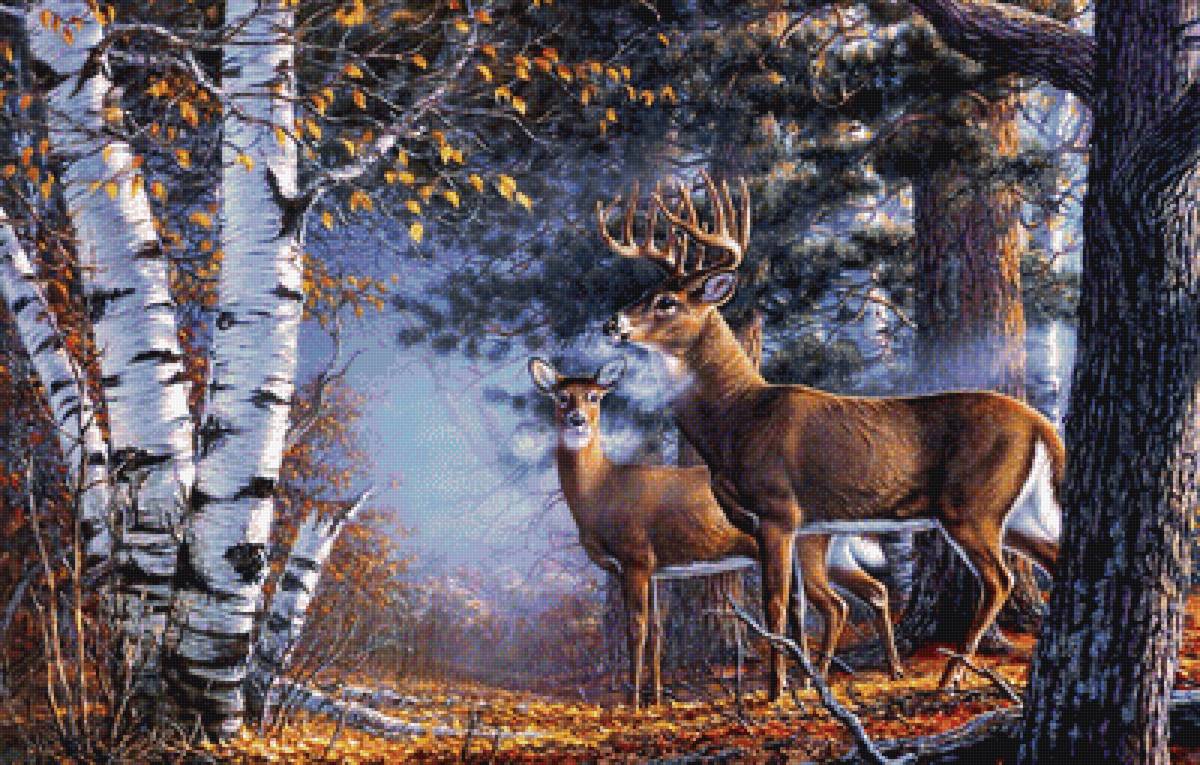 №2110067 - лес, олени, березы, животные - предпросмотр