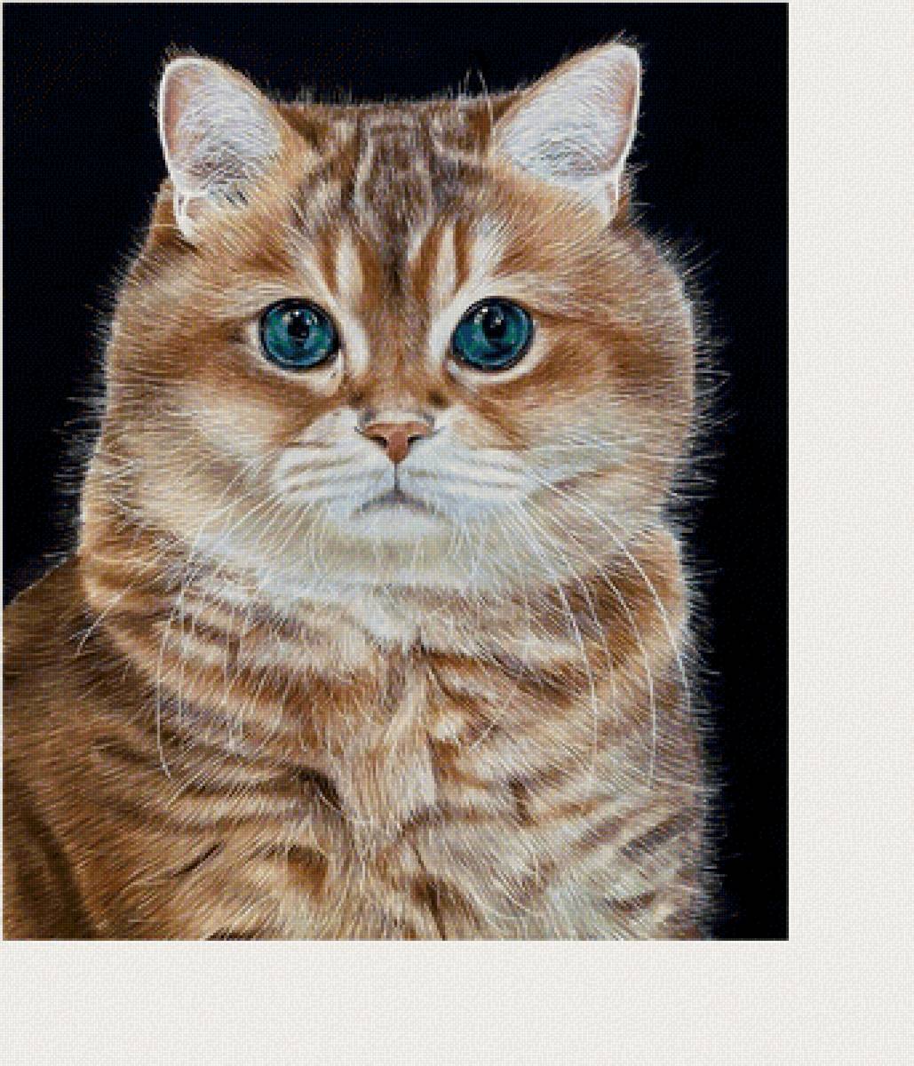 №2110081 - коты, животные - предпросмотр