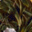 Предпросмотр схемы вышивки «Полевые цветы и грибы.ФРАНЦ КСАВЬЕР ПЕТТЕР» (№2110222)