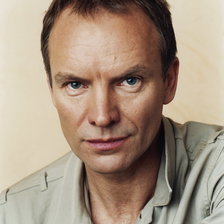 Схема вышивки «Стинг»