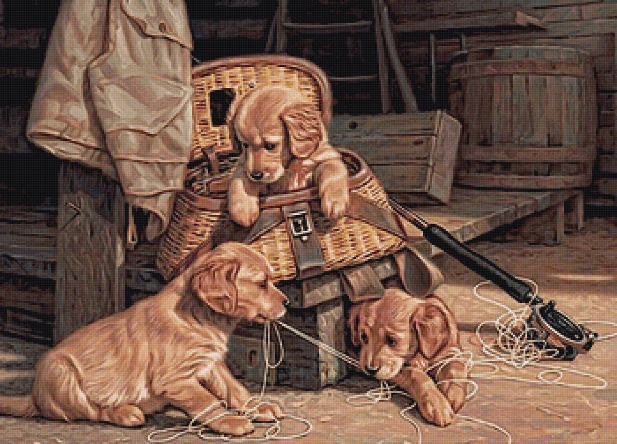 №2110624 - собачка, животные, щенок - предпросмотр