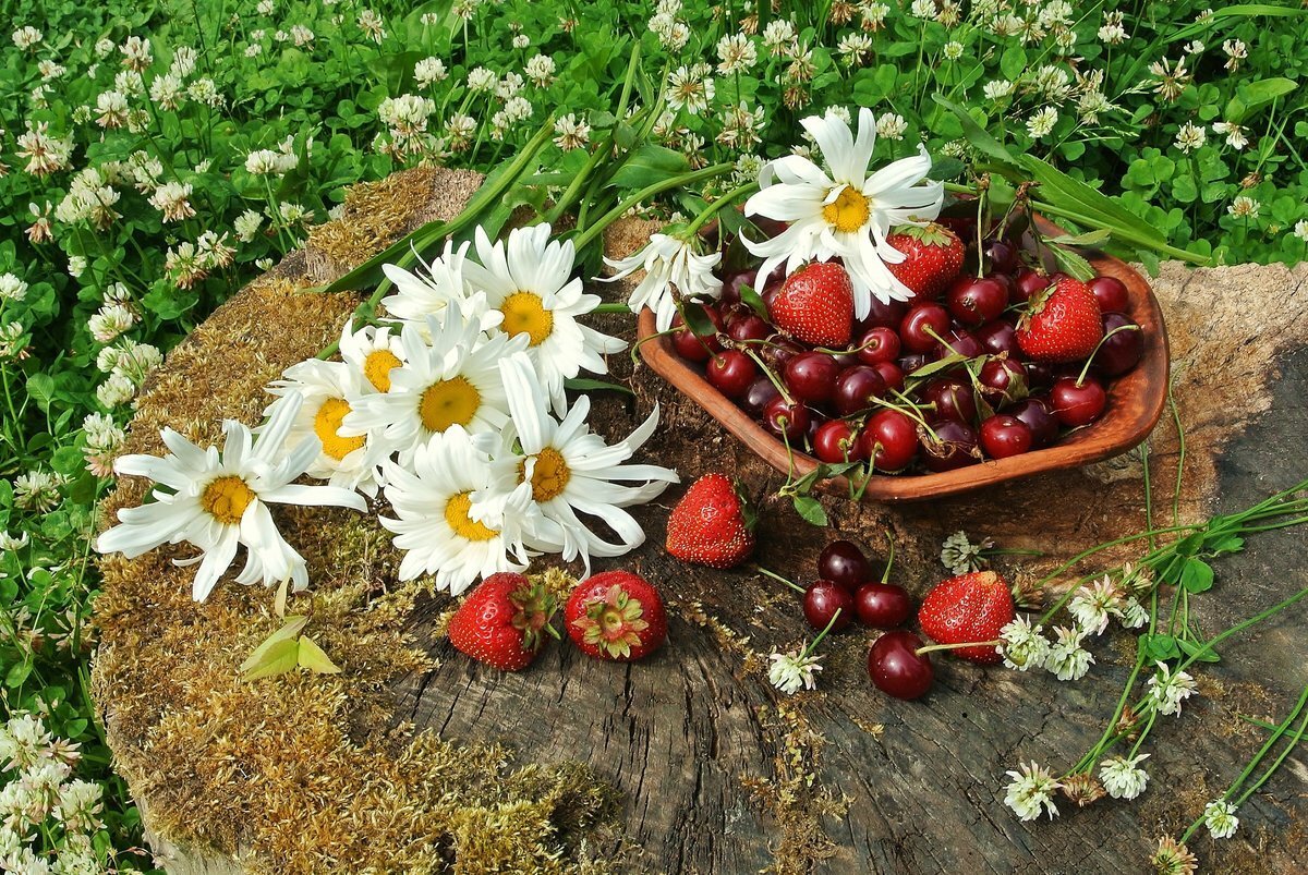 Ягода года года песня. Лето ягоды. Летние цветочные композиции. Полевые цветы и ягоды. Ромашки и земляника.