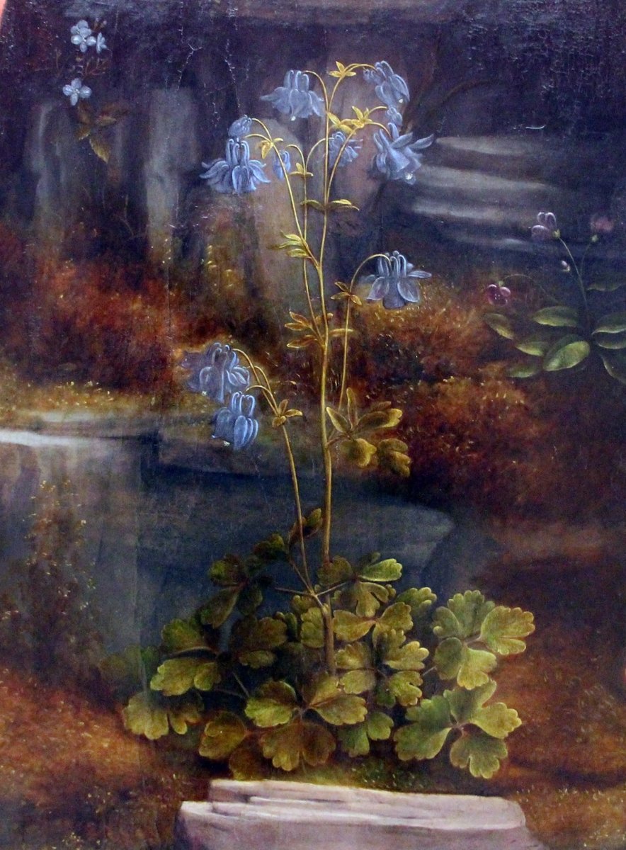 КОЛОКОЛЬЧИКИ.ФРАНЧЕСКО МЕЛЬЦИ - цветы, картины - оригинал