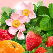 Схема вышивки «№2111049»