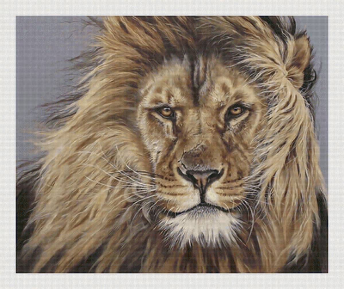 №2111272 - животные, львы, хищники - предпросмотр