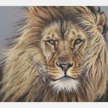 Схема вышивки «№2111272»